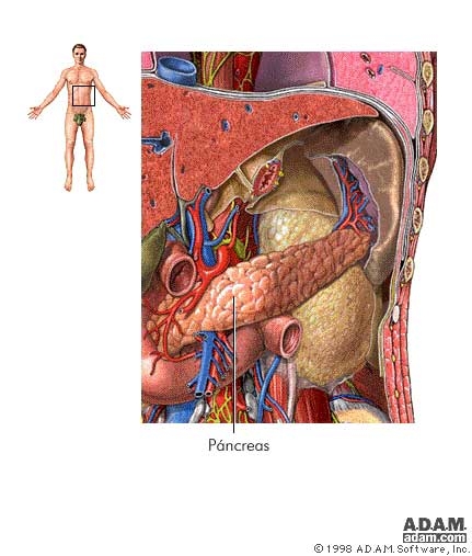 Cancer de pancreas